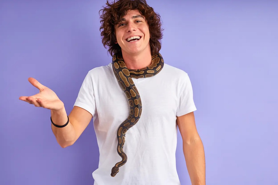 snake puns